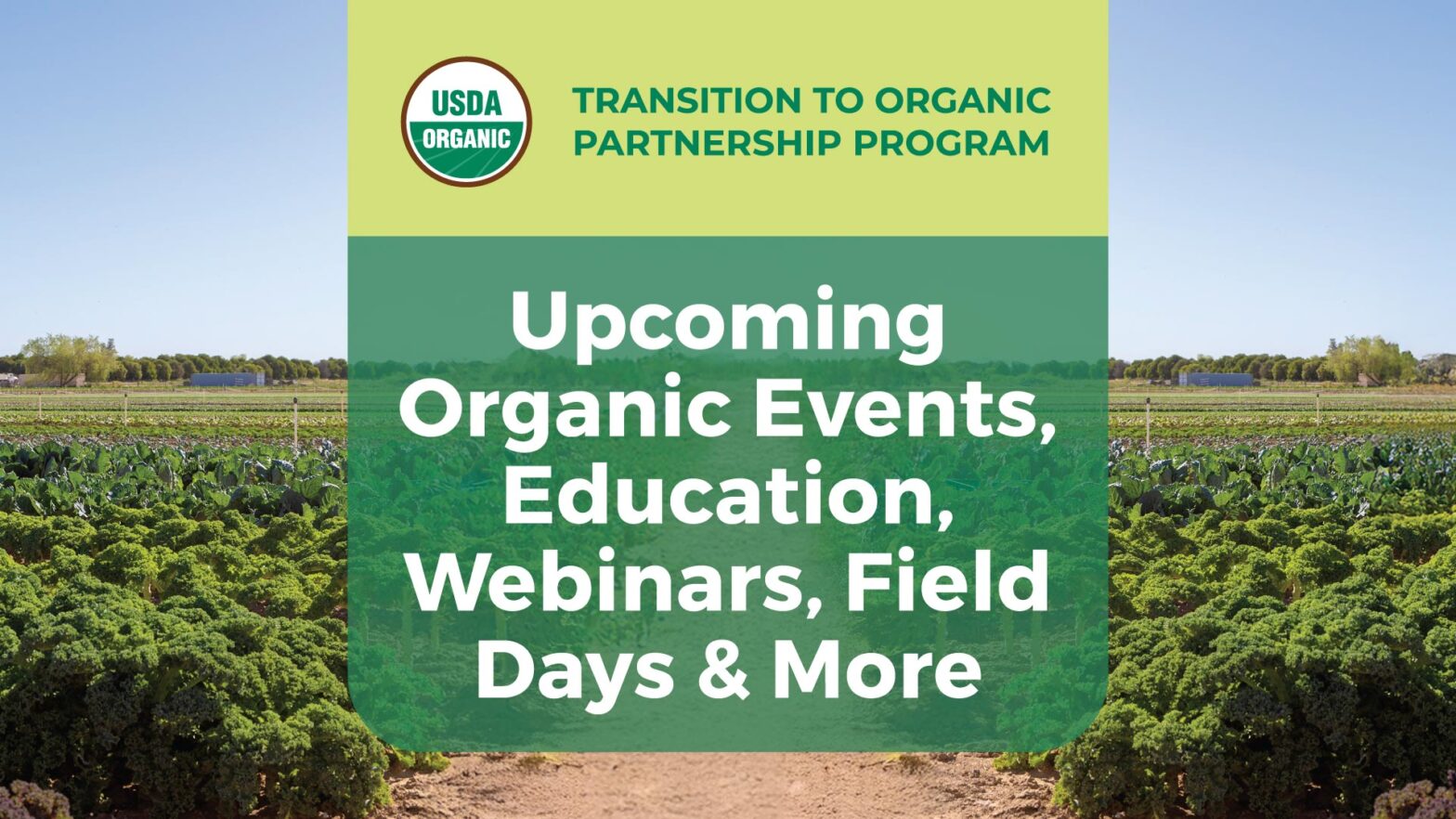An organic vegetable field with the words "Transition to Organic Partnership Program Upcoming Organic Events"