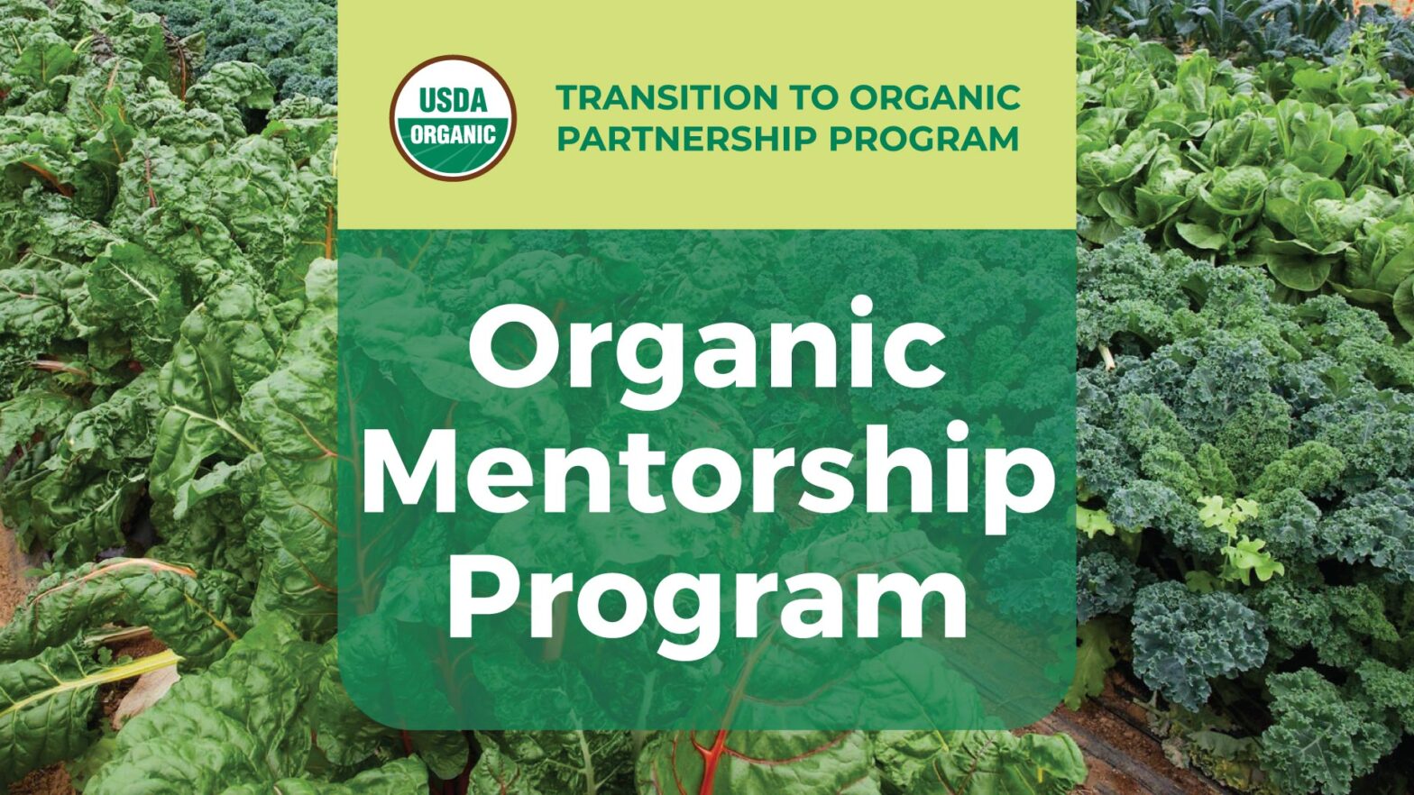 An organic vegetable field with the words "Transition to Organic Partnership Program Organic Mentorship Program"