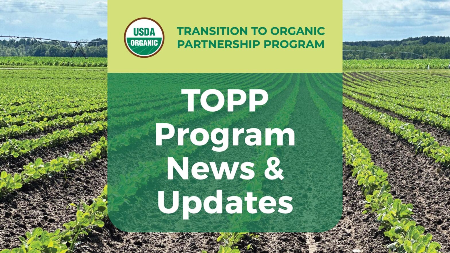 An organic vegetable field with the words "Transition to Organic Partnership Program News & Updates"